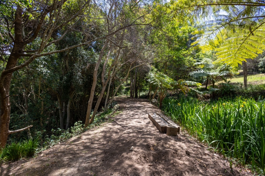 3 Bedroom Property for Sale in The Crags Western Cape